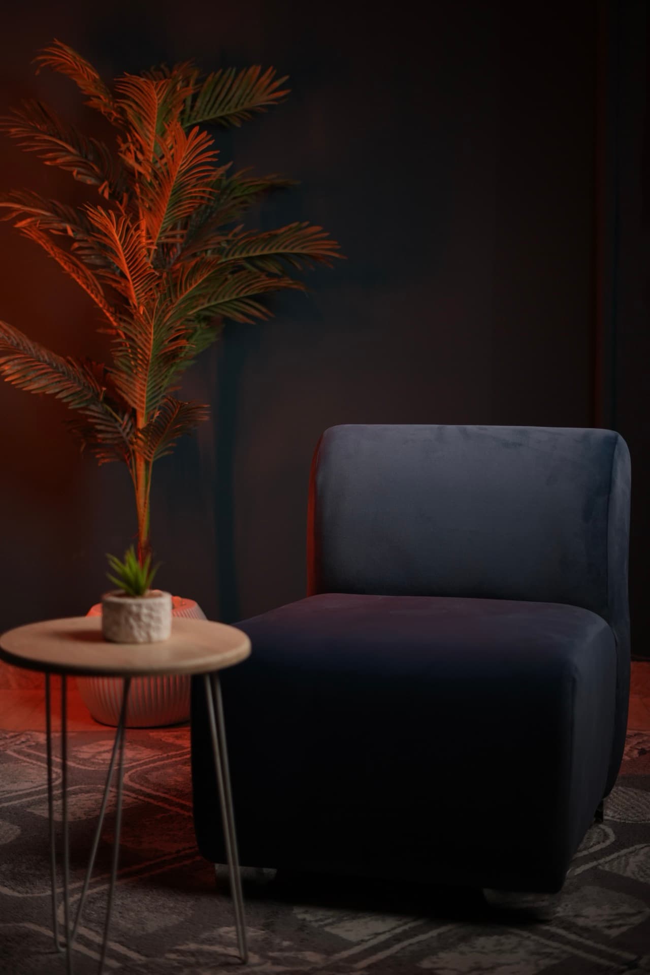 Daylight Studio